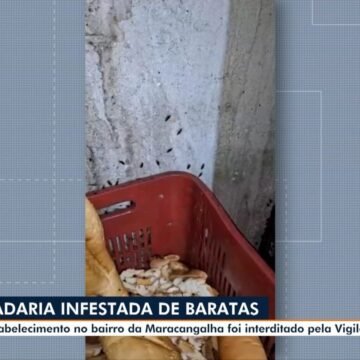 Vigilância Sanitária fecha padaria na Marambaia após发现 de baratas, fezes de roedores e alimentos fora do prazo.