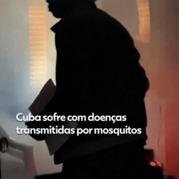 14114546.jpg Cuba Enfrenta Aumento Alarmante de Doenças por Mosquitos em Cenário Sanitário Crítico