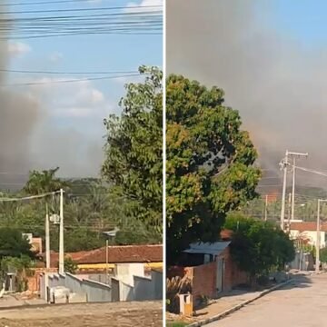 Incêndio de grandes proporções atinge floresta de cocais no Norte do Piauí; é o segundo registro da semana.