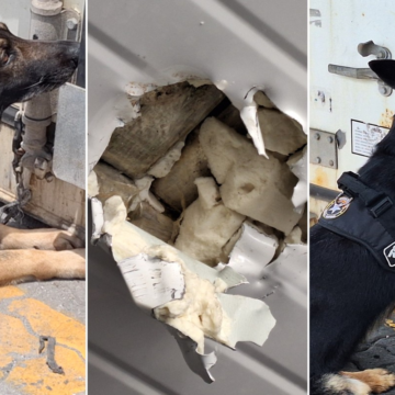 Caminhão de Bananas Revela Surpresa: 17 kg de Cocaína Encontrados no Porto de Santos