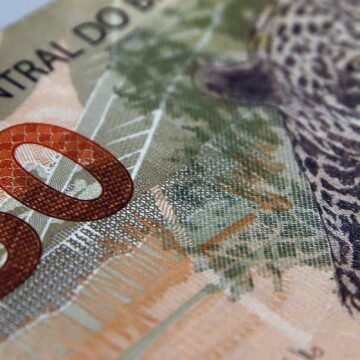 Empresas vs. Fundações: O Que Explica os Altos Salários no Setor Sem Fins Lucrativos?